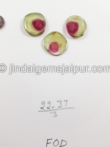 Watermelon Tourmaline Smooth Slices